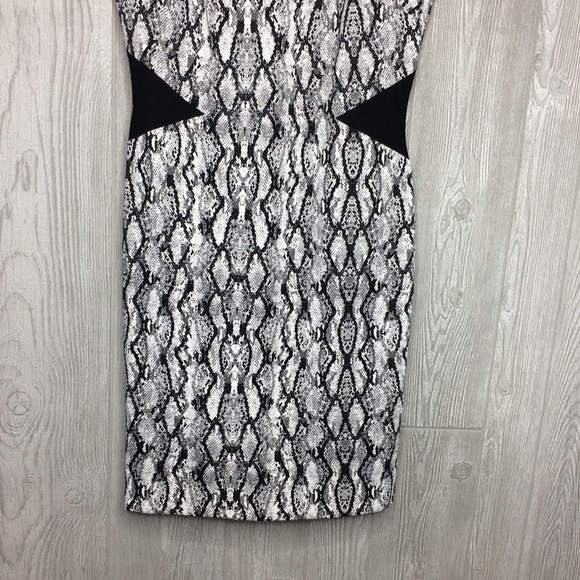 Worthington Animal Snake Print Dress Size 8 - Picture 3 of 6